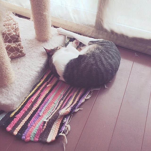 be-mineさんの実例写真