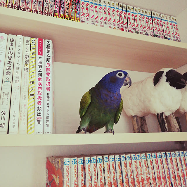 bonoさんの実例写真