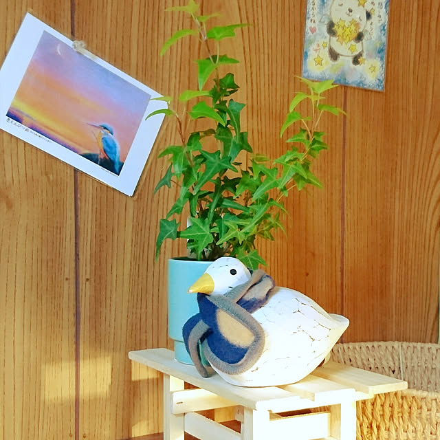 kogumaさんの実例写真