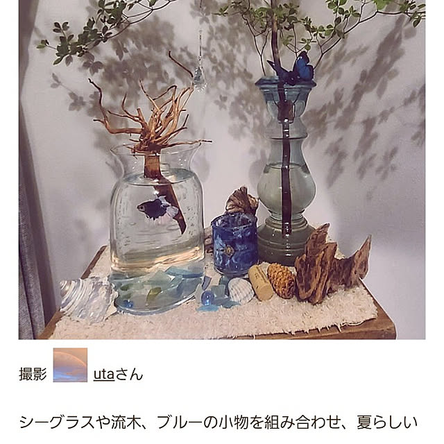 utaさんの実例写真
