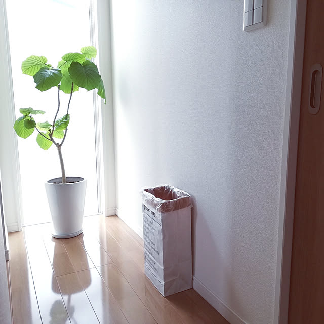 pinokoさんの実例写真