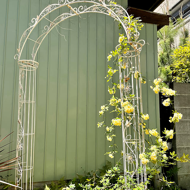 wisteriaさんの実例写真