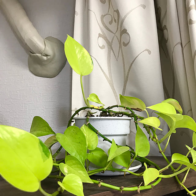 kana38さんの実例写真