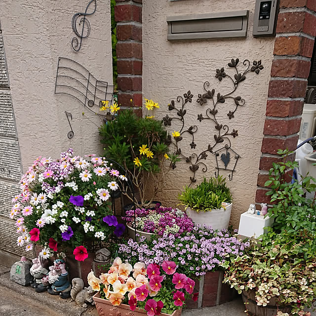 実例写真