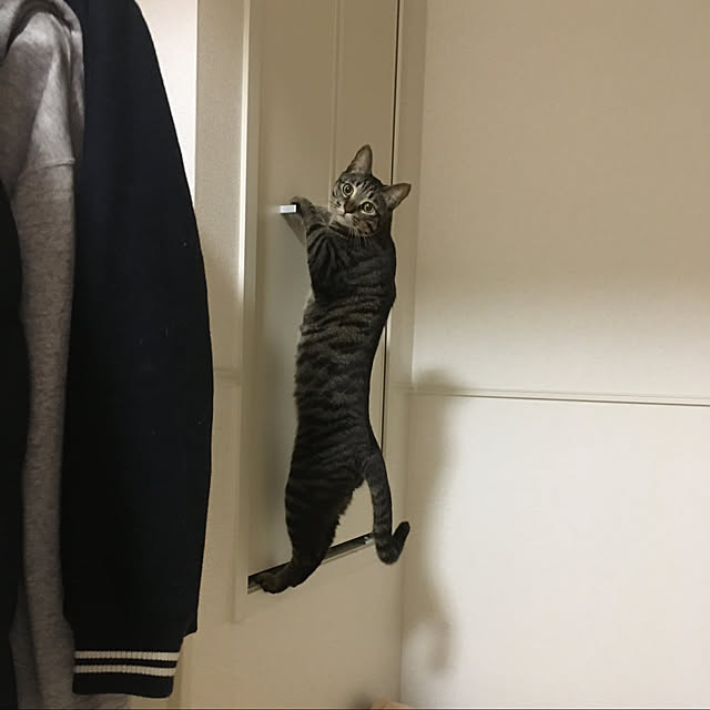 yurinecoさんの実例写真