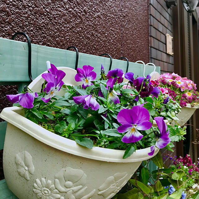 fuuさんの実例写真