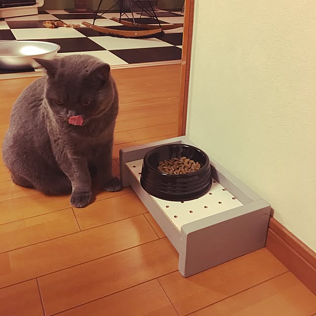 Shojiさんの実例写真