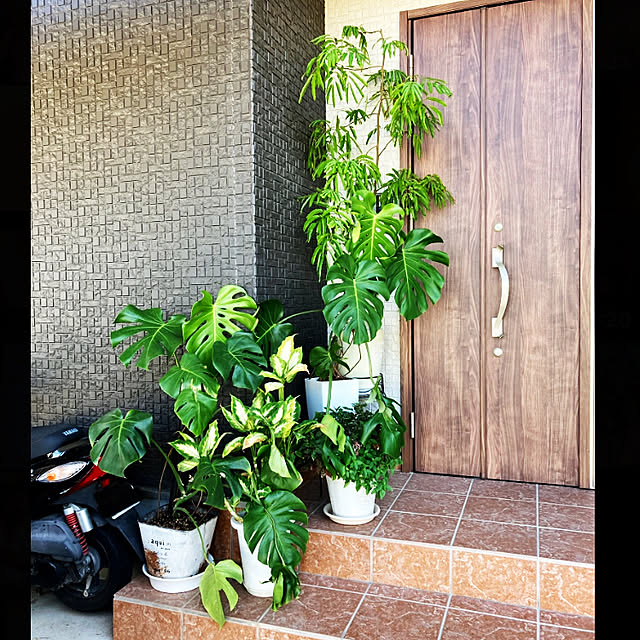1546さんの実例写真