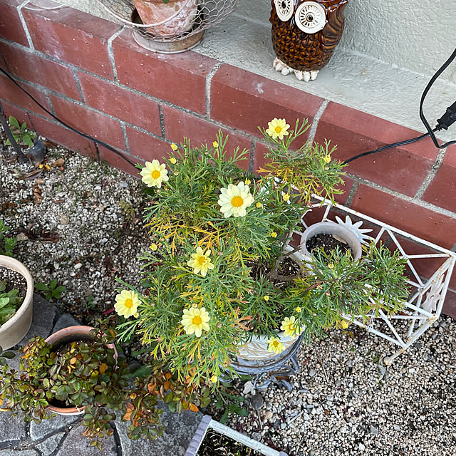 shin0719さんの部屋