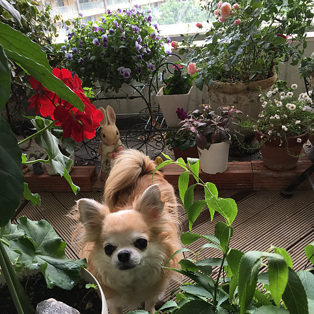saraminさんの実例写真