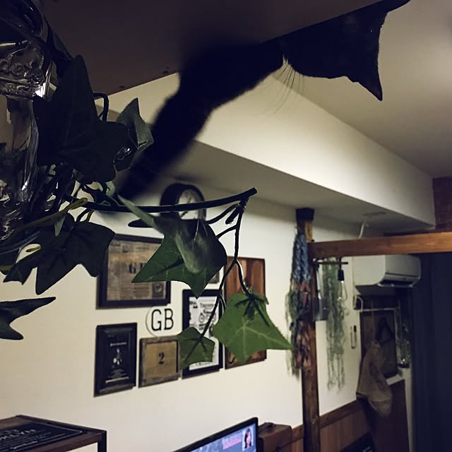 Gouさんの実例写真