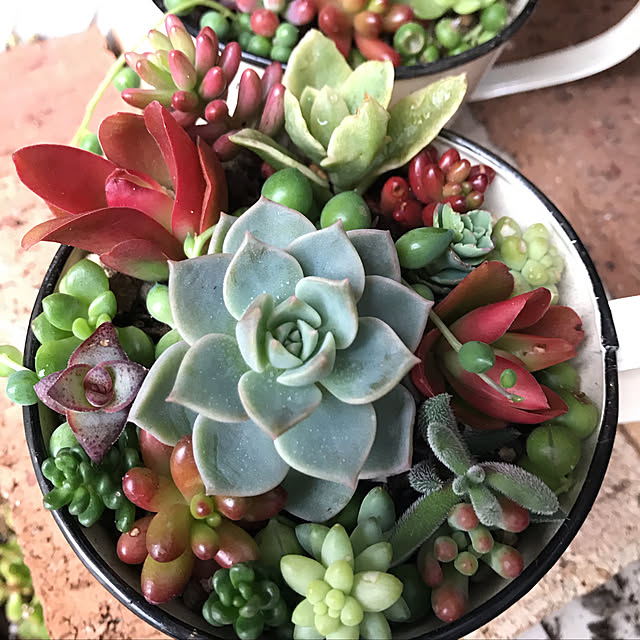 **yuu**さんの実例写真