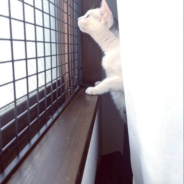 hirukumaさんの部屋