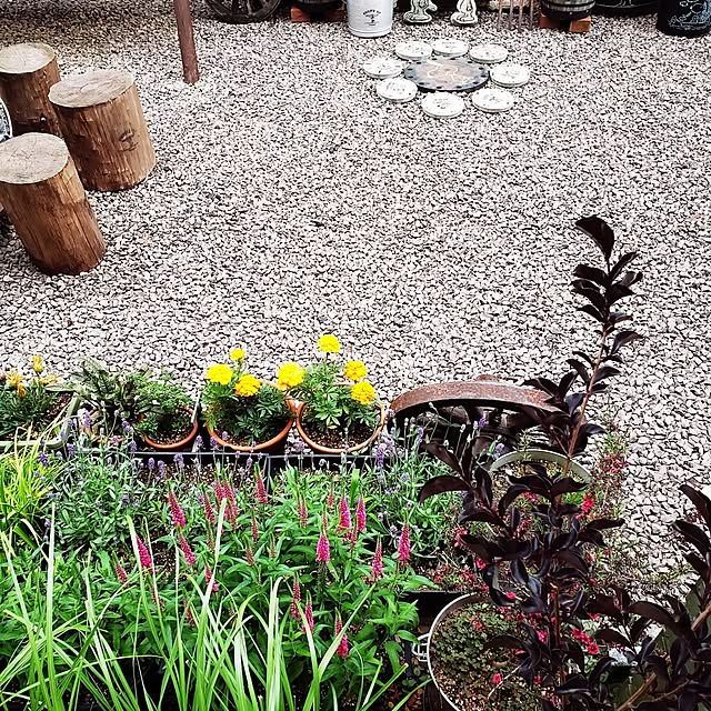 jaaichannさんの部屋