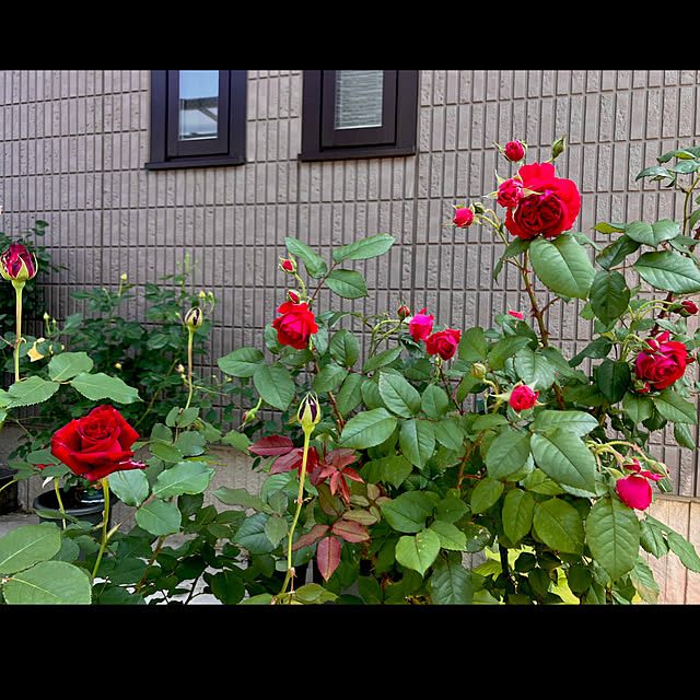 tinkunさんの部屋