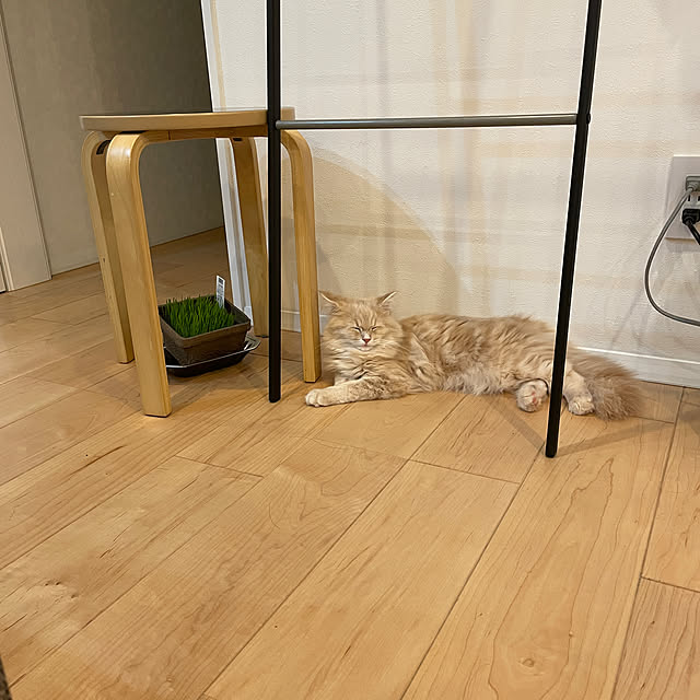 kさんの部屋