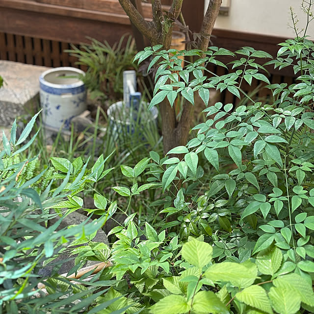 KAZさんの部屋