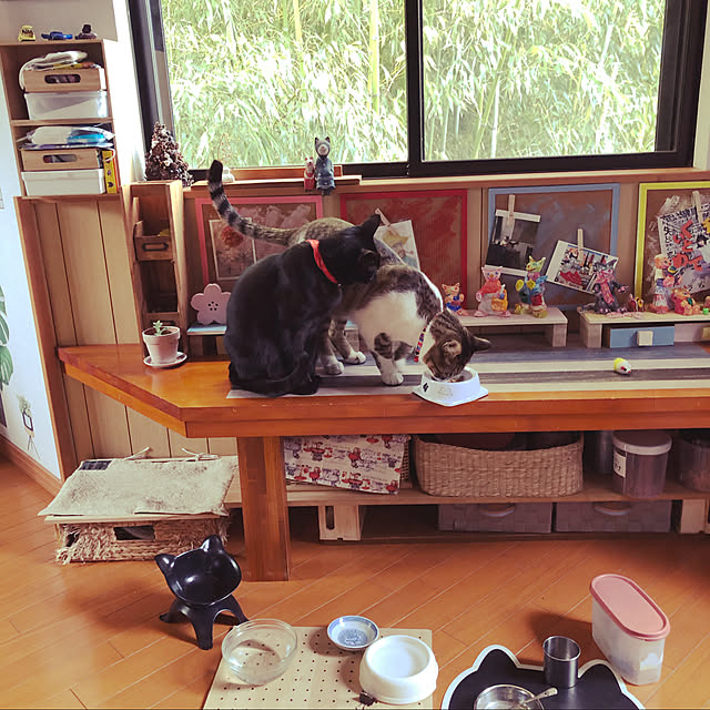 jijiさんの実例写真