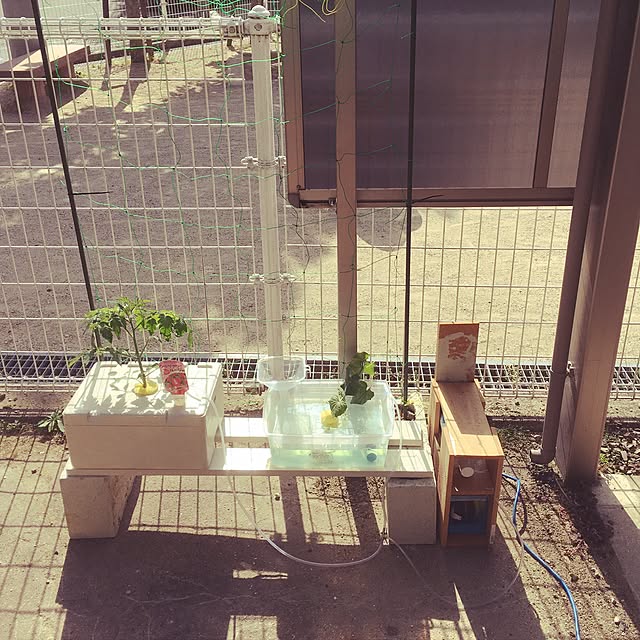 antiqueheartさんの実例写真