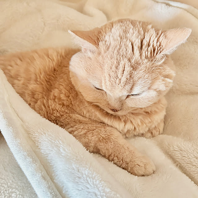 naokoさんの部屋