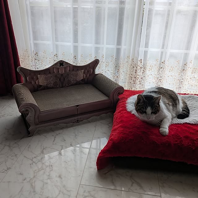 machikomamaさんの部屋