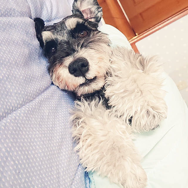 asaさんの実例写真