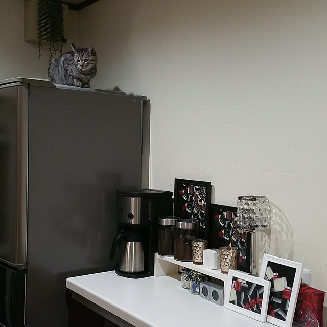 yumiさんの実例写真