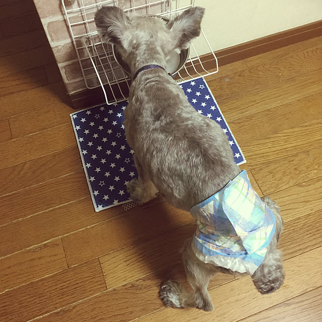me_sweetさんの実例写真