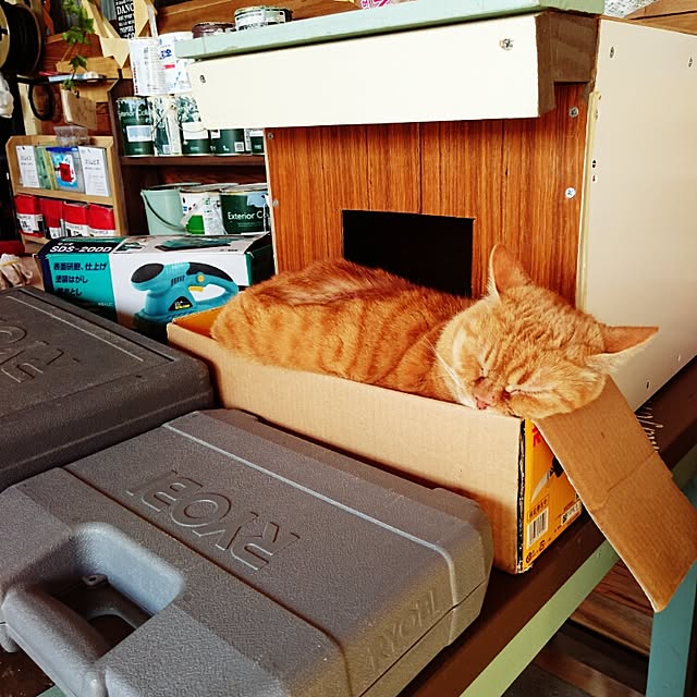 Toraziさんの実例写真