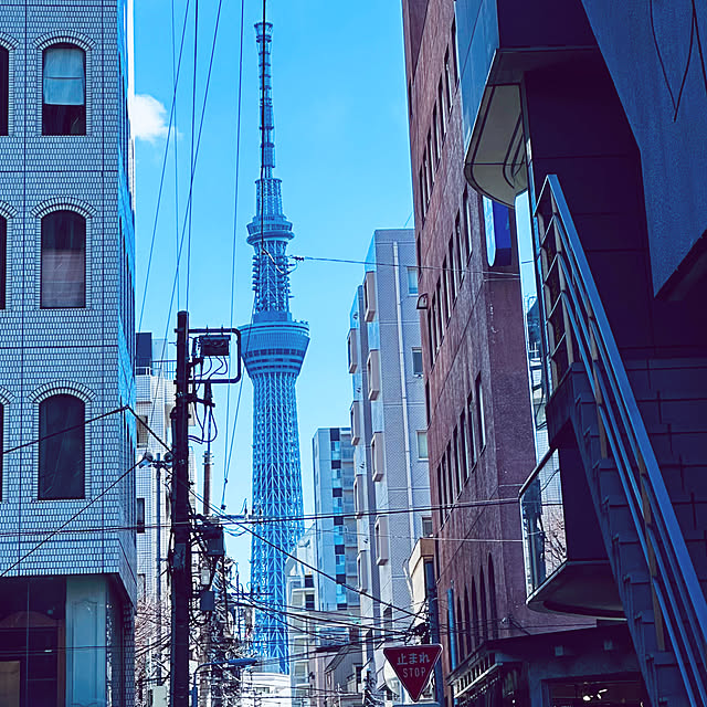 chacoさんの部屋