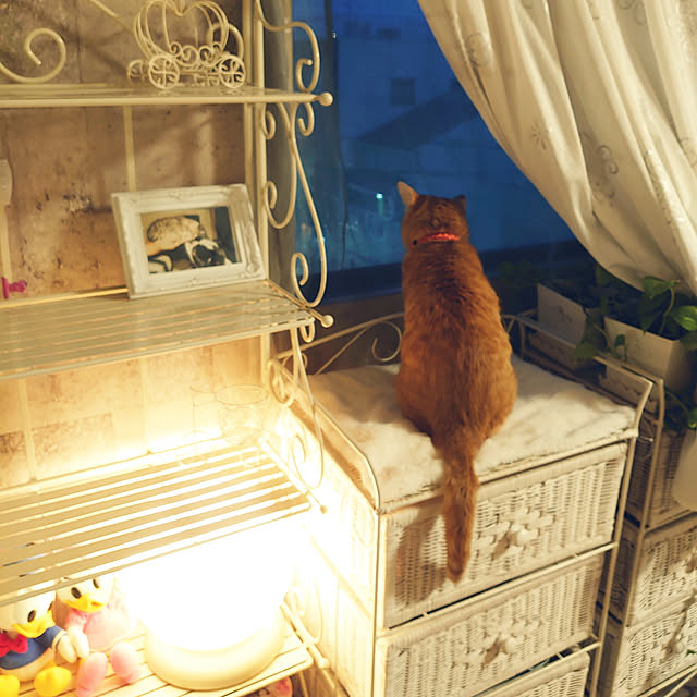 asuminさんの実例写真