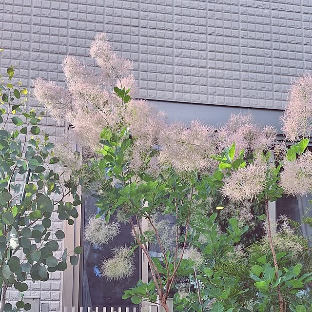 souさんの部屋
