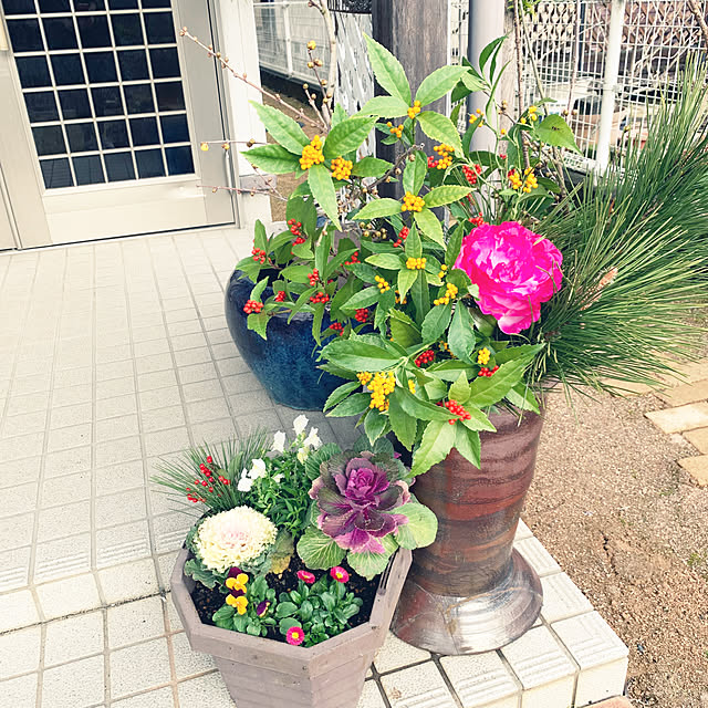 cyaroさんの部屋
