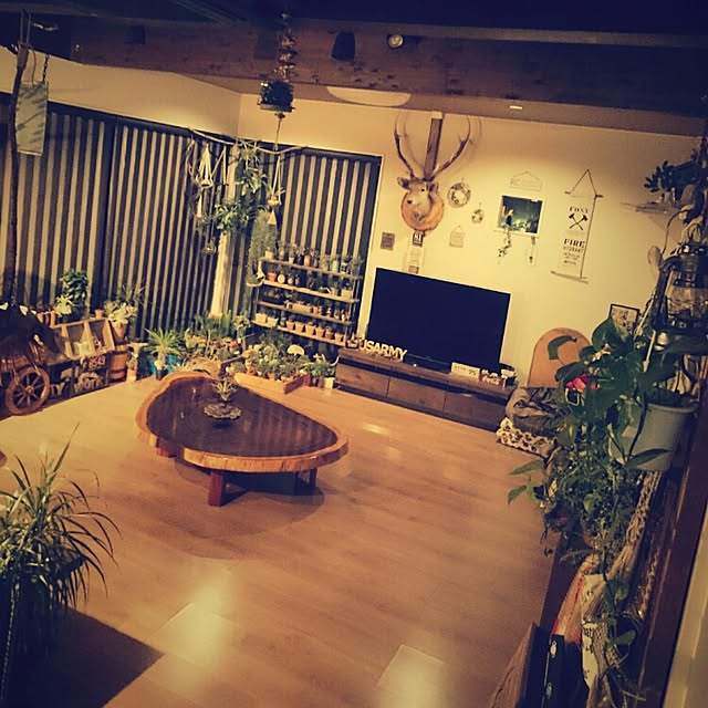 miccoさんの実例写真