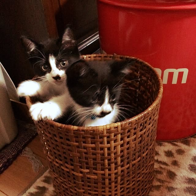 mari23さんの実例写真