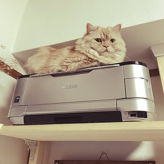 roseさんの実例写真