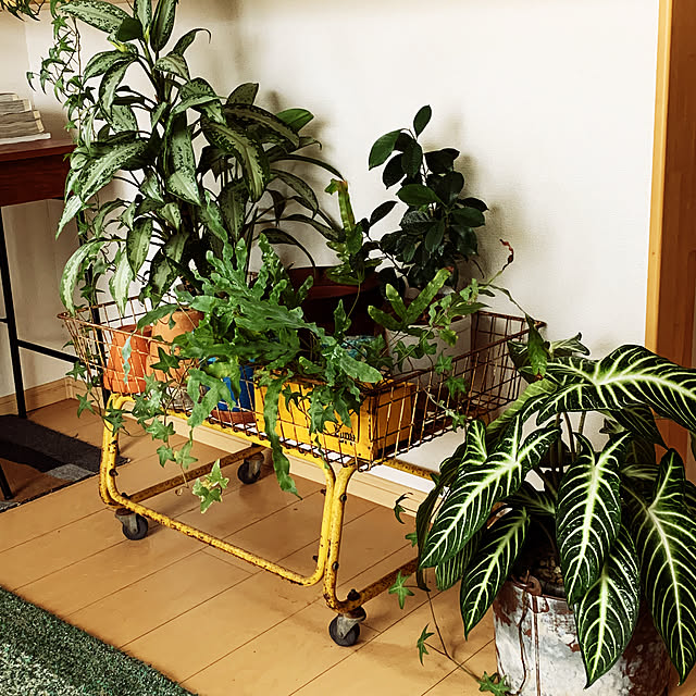 hamasakitakahiro1224さんの実例写真