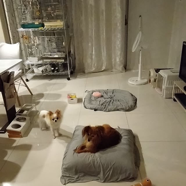 toratanさんの部屋