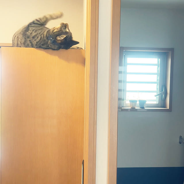 Mさんの部屋