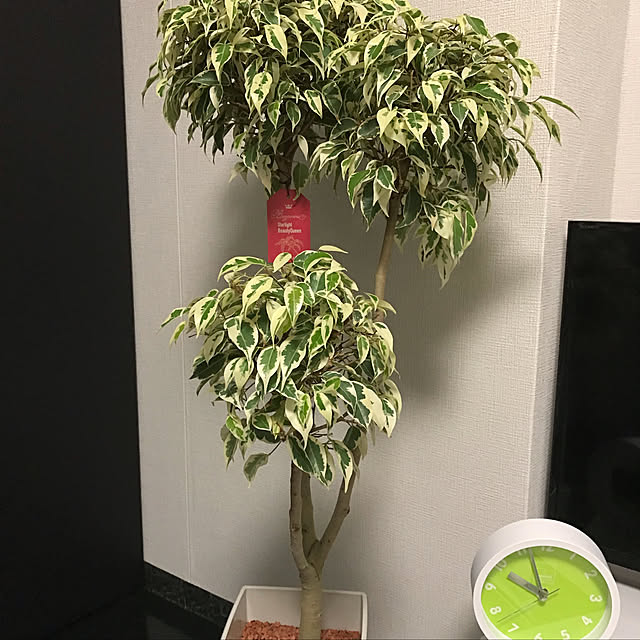 usakoさんの実例写真