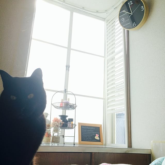sminoeさんの実例写真