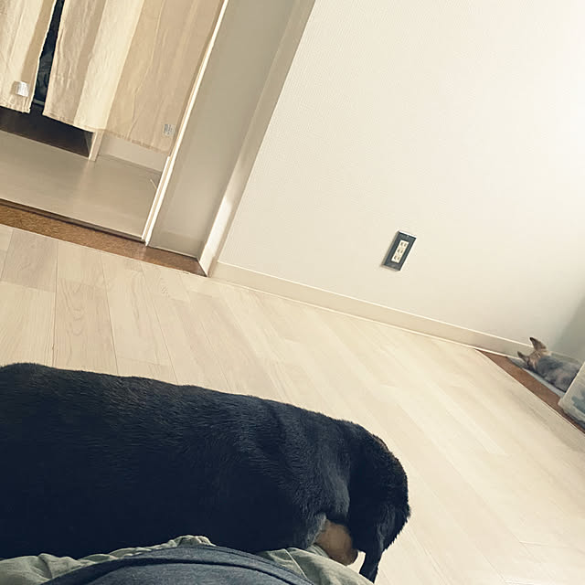 ohanaさんの実例写真