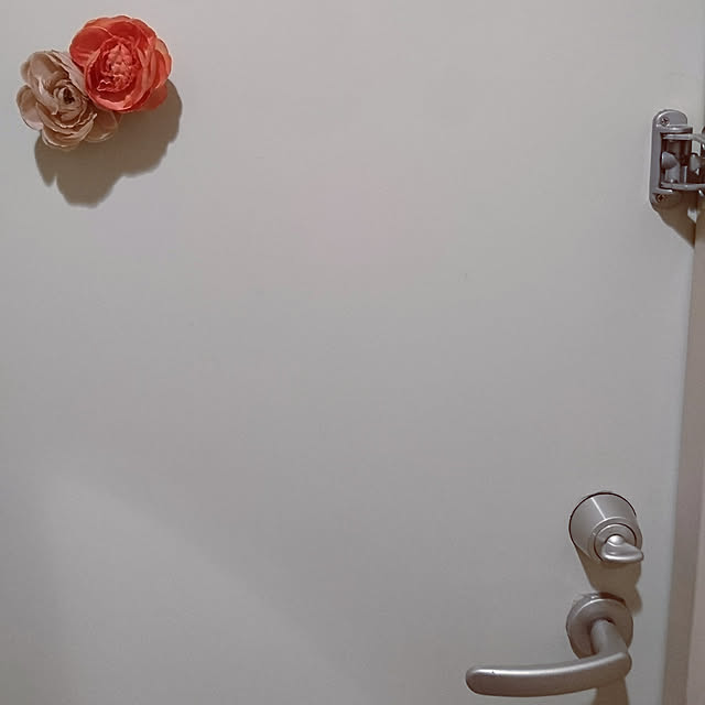 hazukiさんの実例写真