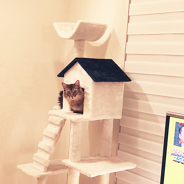 Yumiさんの実例写真