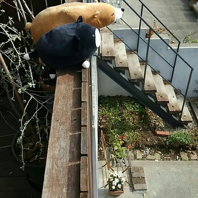 kiciさんの実例写真