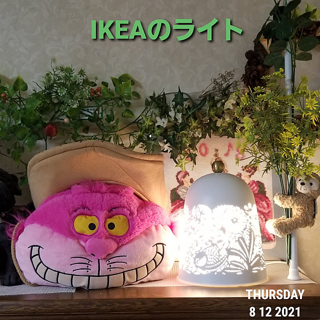 takoさんの実例写真