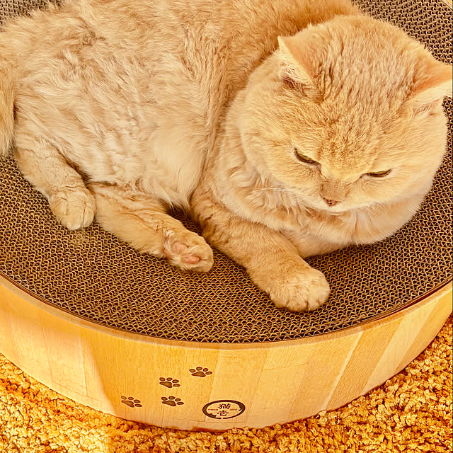 naokoさんの実例写真