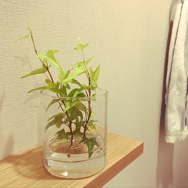 sm_rin5oさんの実例写真
