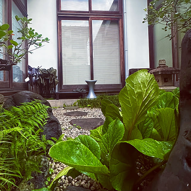 chacoさんの部屋