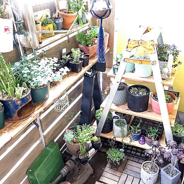 natulove0418さんの実例写真